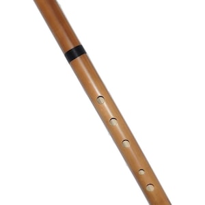 Professional Quenacho -D major -