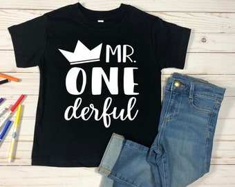 1st year shirt, First Year birthday shirt, One birthday shirt gift, Mr Wonderful, Shirt for first birthday, gift for 1st birthday