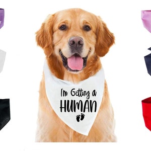 I am getting a human dog Bandana - Pregnancy announcement Dog Bandana - Baby announcement Bandana - Big Brother Bandana
