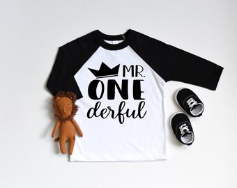 Mr Wonderful, 1st year shirt, First Year birthday shirt, One birthday shirt, Birthday Boy, Baby Birthday shirt, Raglan baseball shirt
