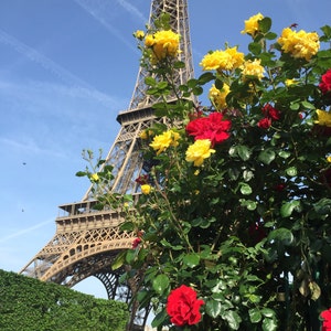 De toren van Eiffel in bloei
