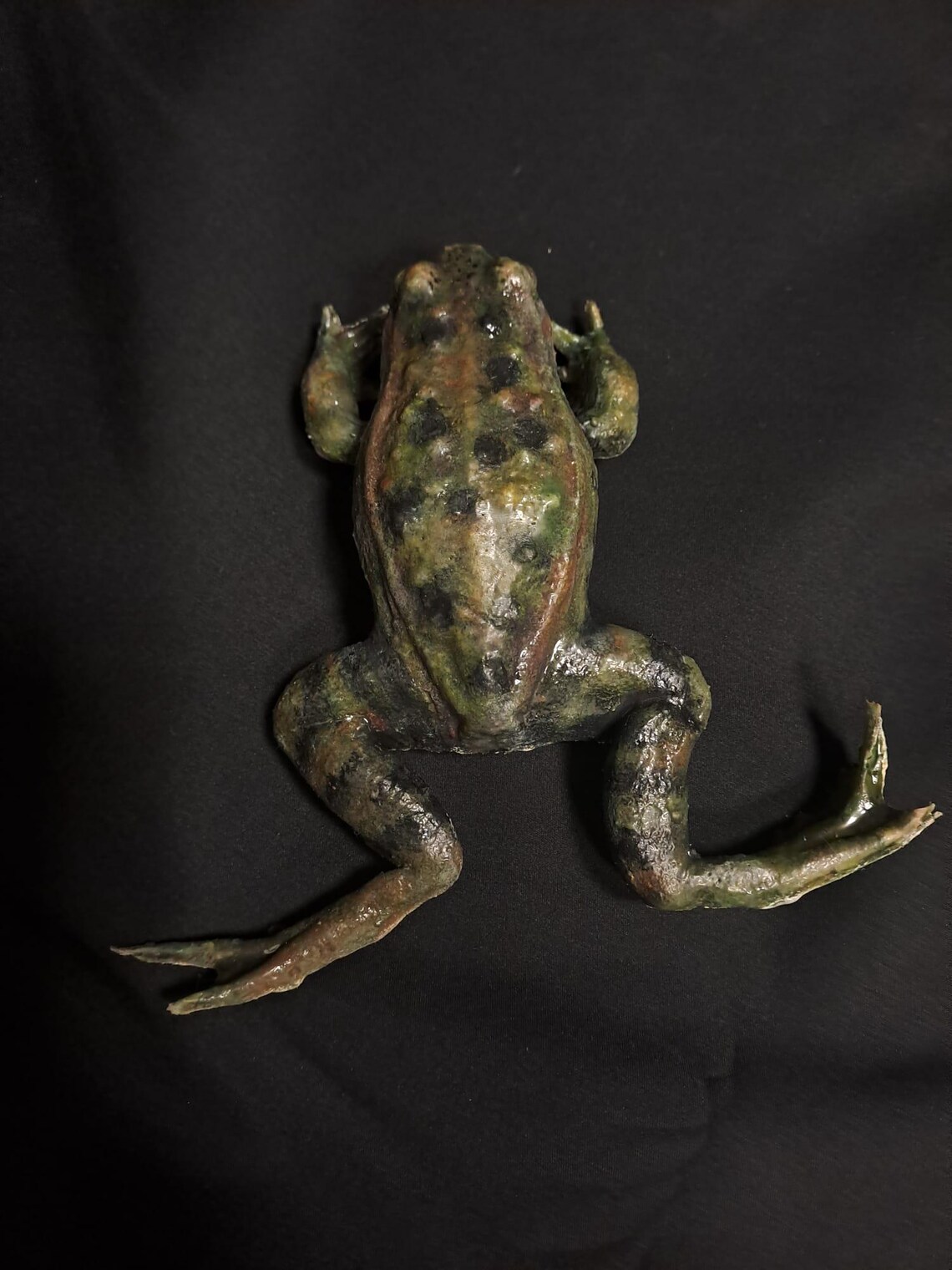 Softshell Frog Precolored Silicone Frog - Etsy
