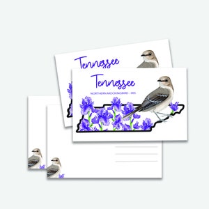 Cartolina digitale con uccelli e fiori dello stato del Tennessee
