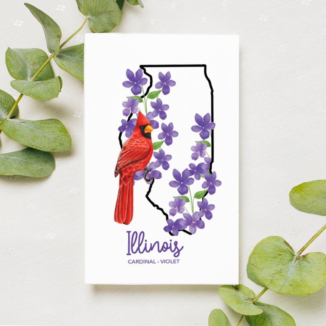 Digital Download Illinois State Bird and Flower Postcard - Etsy