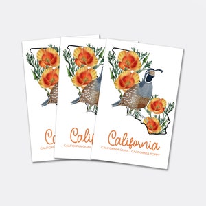 Download digitale Cartolina di uccelli e fiori dello stato della California