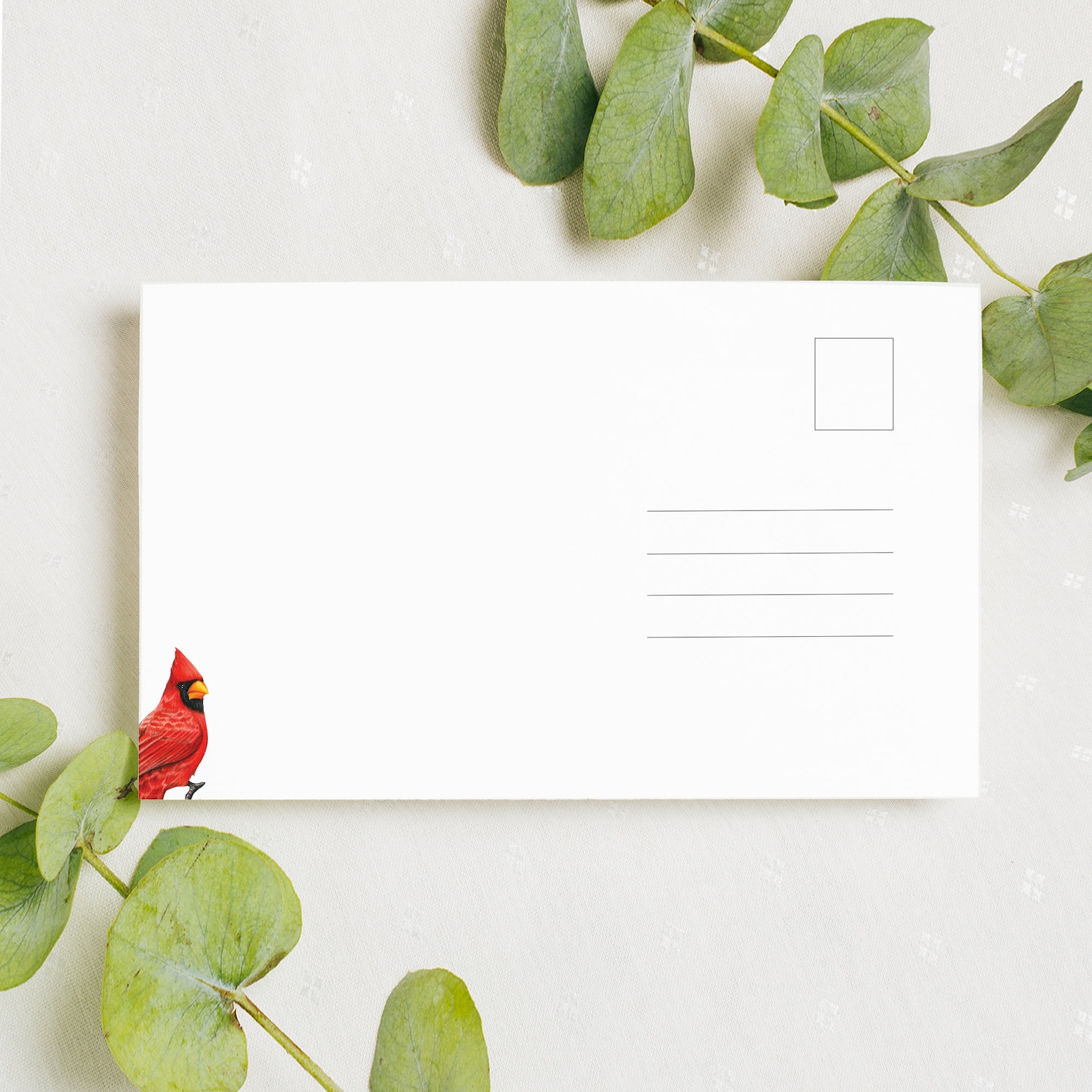 Digital Download Illinois State Bird and Flower Postcard Etsy