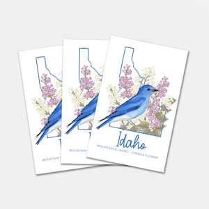 Download digitale Cartolina di uccelli e fiori dello stato dell'Idaho