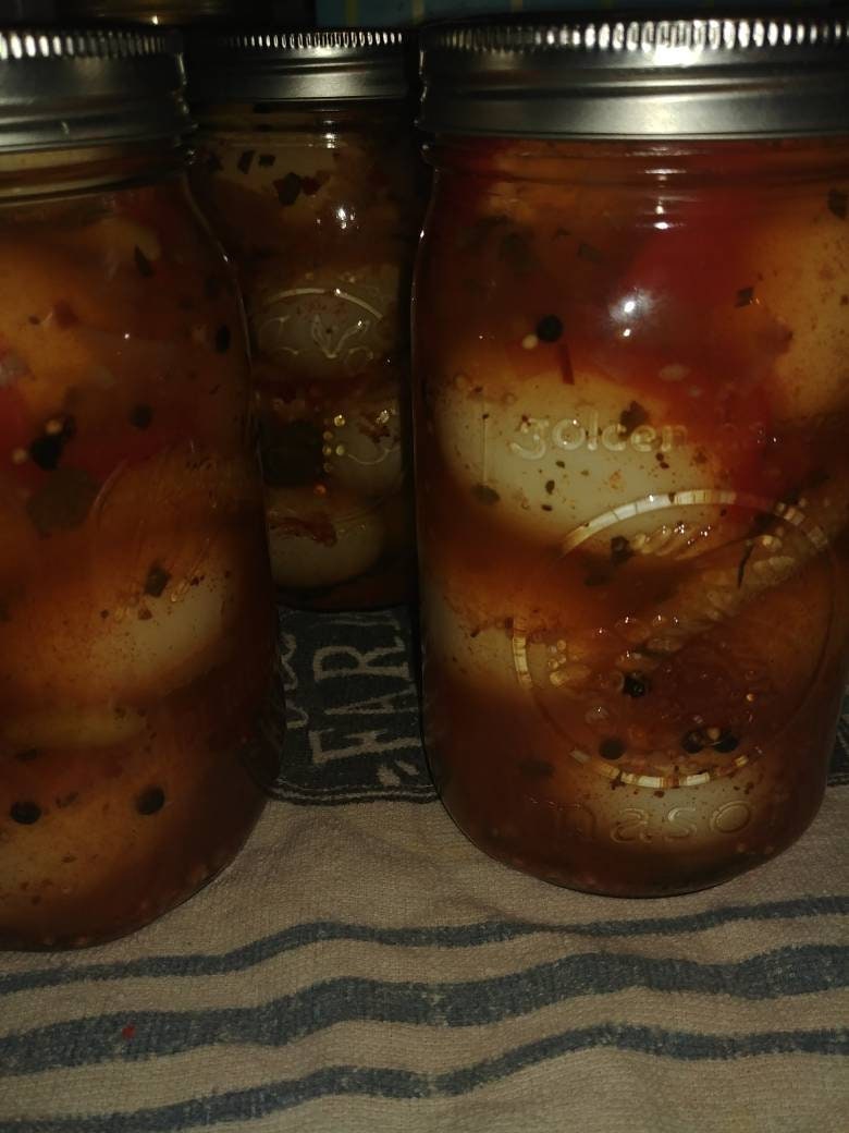 Spicy Cajun Pickled Eggs Crawfish Boil Flavor Jojo's Kitchen Etsy