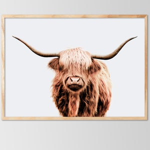 Highland Cow Print, Cow Print, Farmhouse Decor, Rustic Decor, Animal Print, Boho Decor