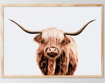 Highland Cow Portrait Print, Rustic Farmhouse Decor (Digital Download)