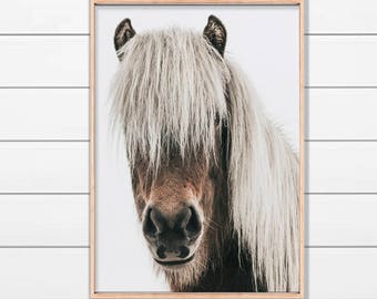 May include: A close-up portrait of a brown and white horse with long white hair covering its face. The horse is looking directly at the camera with a curious expression.