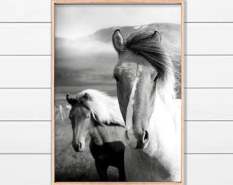 May include: Black and white framed print featuring two horses in a field with a mountain backdrop. The horses have light-colored manes and are the focal point of the image. The print is in a wooden frame.