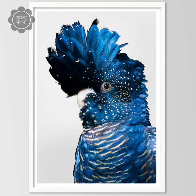 Bird Print Cockatoo Wall Art Black Cockatoo Art Australian Bird Print Large Printable Poster