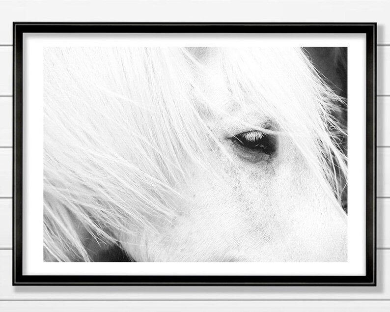 White Horse Art, Icelandic Horse, Horse Print, Black and White Horse, Printable Art image 2