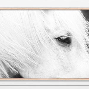 White Horse Art, Icelandic Horse, Horse Print, Black and White Horse, Printable Art image 1