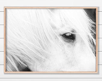 Icelandic Horse Print, Black and White Fine Art (Digital Download)