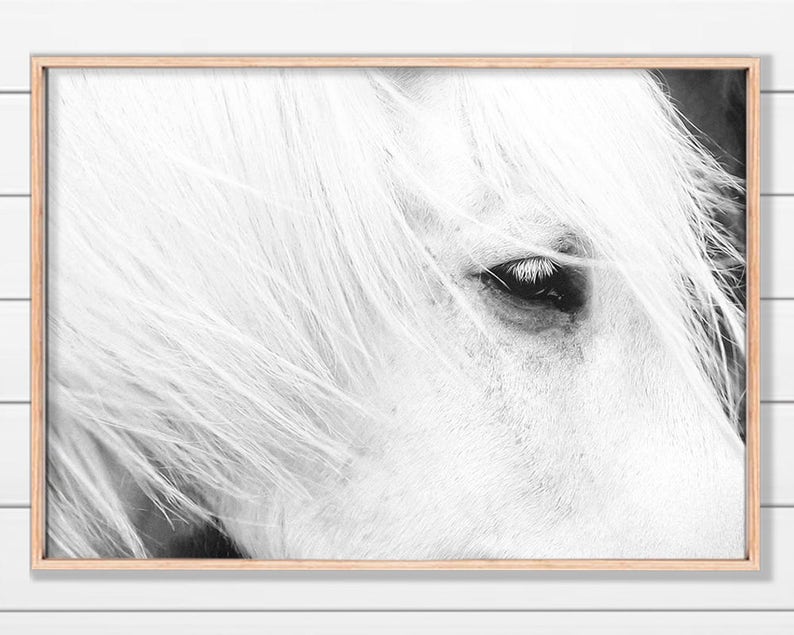 White Horse Art, Icelandic Horse, Horse Print, Black and White Horse, Printable Art image 1