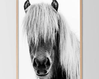Monochrome Horse Print, Horse Art, Icelandic Horse, Black and White Horse