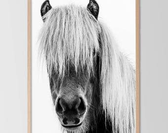 May include: Black and white framed print of a horse's face. The horse has long, flowing, light-colored hair that covers its eyes. The horse's nose and mouth are visible, and the background is white.