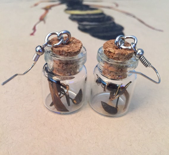 Black And Yellow Mud Dauber Earrings Etsy