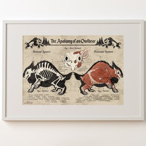 Anatomy of an Owlbear Poster | Owlbear Art | Anatomy Chart | FREE SHIPPING