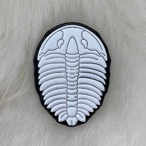 May include: A white enamel pin shaped like a trilobite fossil, with a black outline. The pin is on a white fuzzy surface.