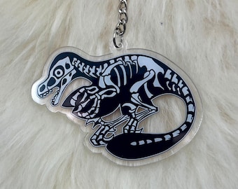 Könnte beinhalten: Ein Schlüsselanhänger aus klarem Acryl mit einem schwarzen und weißen Dinosaurierskelett. Der Schlüsselanhänger hat eine silberne Metallkette und einen silbernen Metallring.