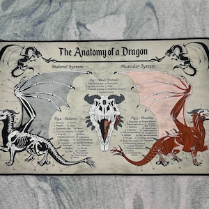 Dragon Playmat | TTRPG Tabletop Mat | Anatomy of a Dragon | FREE SHIPPING