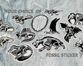 Dinosaur Vinyl Sticker | Fossil Stickers | Dinosaur Sticker | FREE SHIPPING