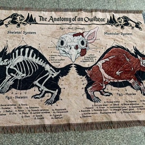 De anatomie van een Owlbear-tapijt/deken | Uilenbeer deken | Fantasiekunst | GEEN VERZENDKOSTEN