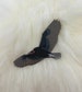 Turkey Vulture Hard Enamel Pin | Vulture Pin | Bird Pin | Art Deco 