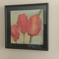 Tulip Time
