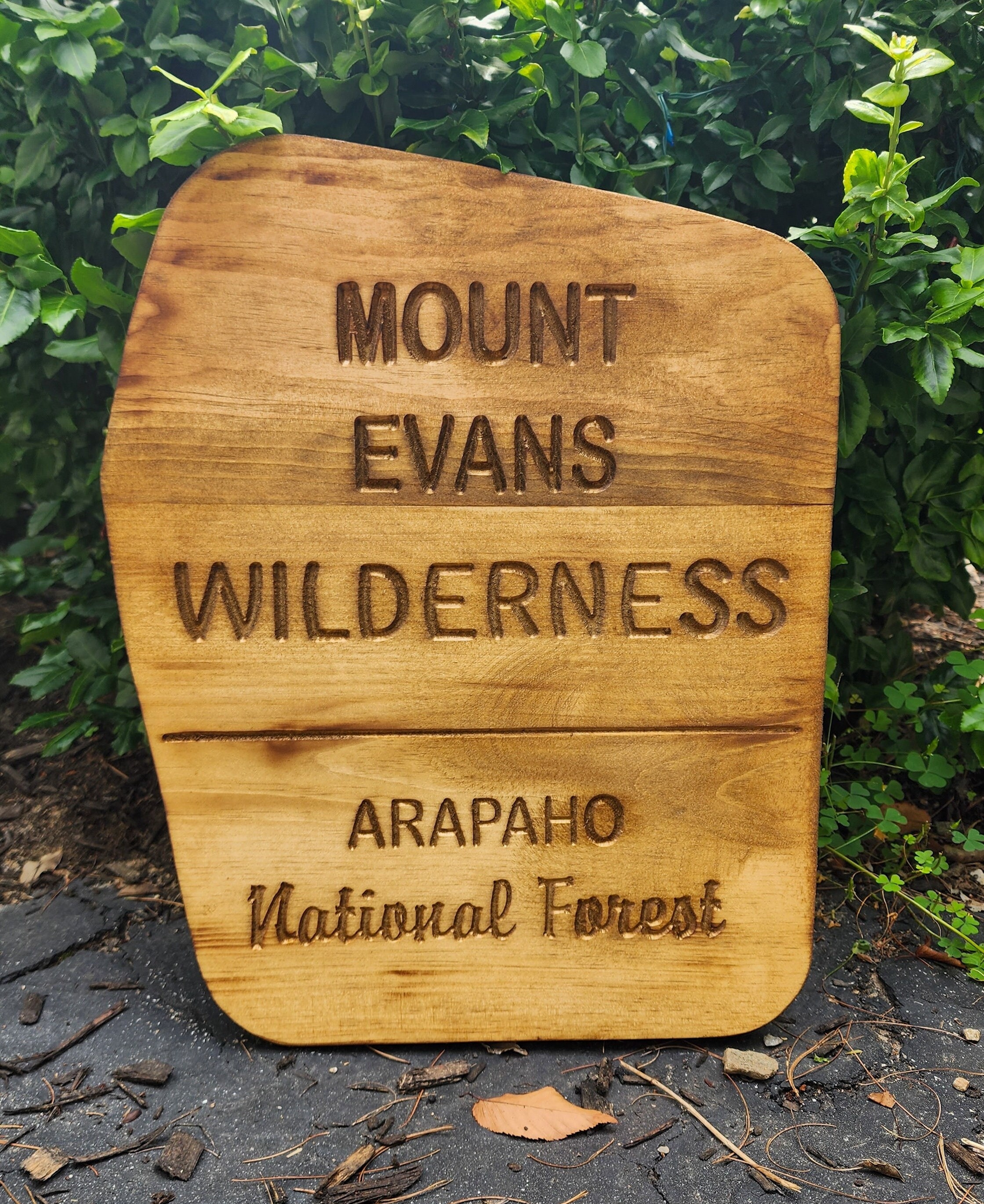 Carved Mount Evans Wilderness Sign | National Forest | Rustic Sign ...