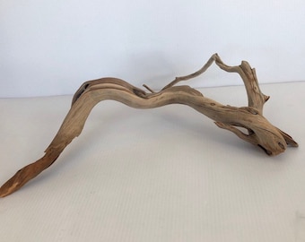 manzanita branches etsy
