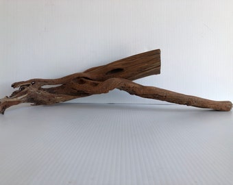manzanita branches etsy