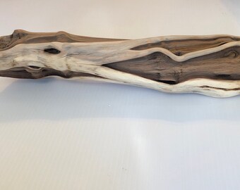 manzanita branches etsy