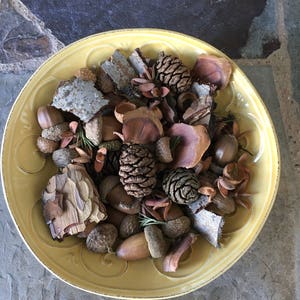Woodland Potpourri / potpourri / woodland / bowl filler / Cedar scent / Pinecones / Pinecone mix / Natural craft pieces