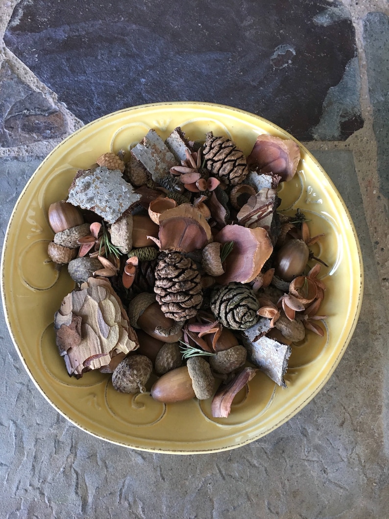 Woodland Potpourri / Potpourri / Woodland / Bowl Filler / Etsy