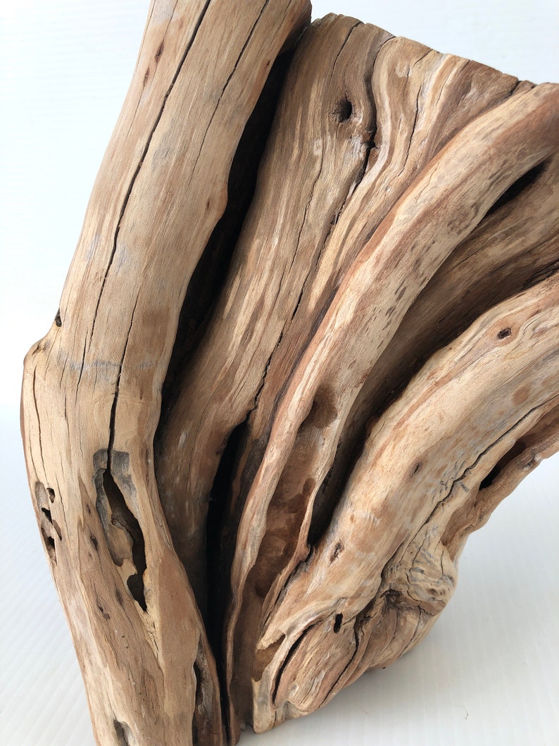 Manzanita Stump Mountain Driftwood Manzanita Branch Home Etsy