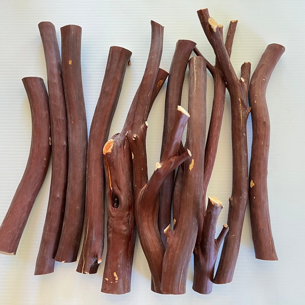 Manzanita Branches Etsy