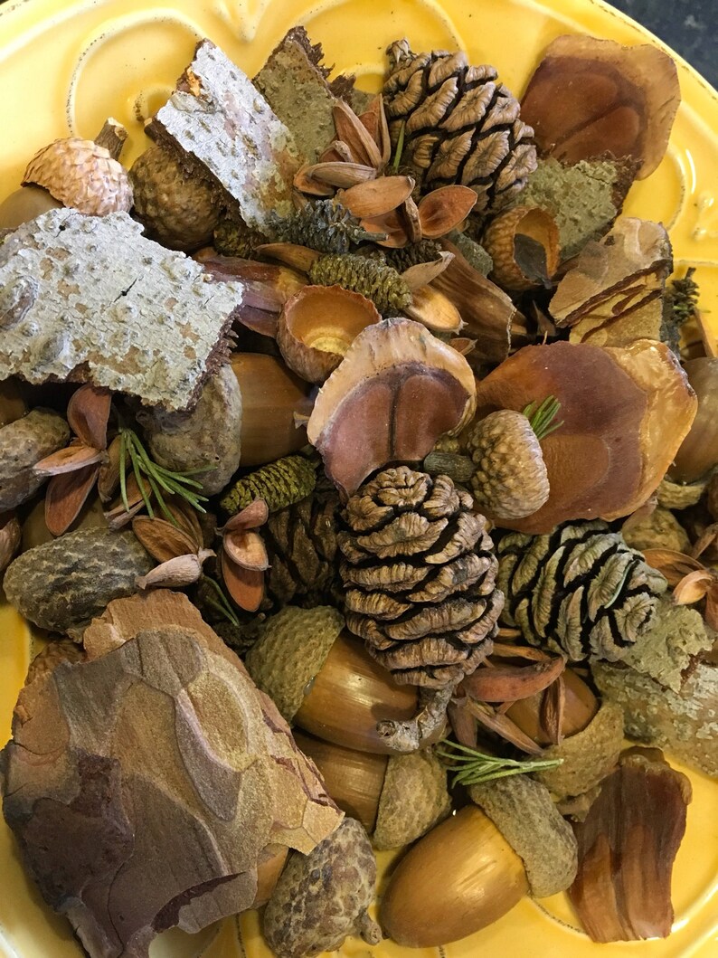 Woodland Potpourri / Potpourri / Woodland / Bowl Filler / Etsy