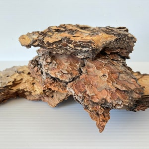 Real Tree Bark | Ponderosa Pine Bark | Bark Sheets | Fairy Gardens | Terrariums | Rustic Wood | Natural Craft Supplies