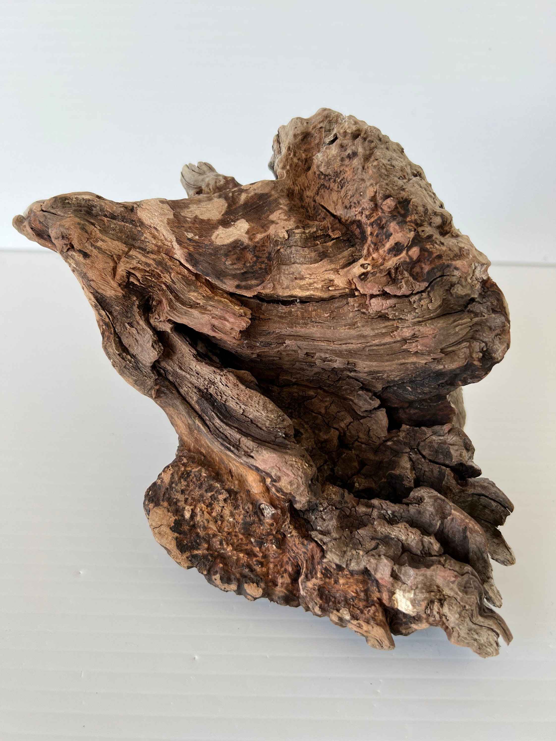 Manzanita Burl/ Manzanita Root /mountain Driftwood / Reptile Etsy