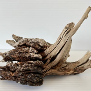 Manzanita Burl/ Manzanita Root /Mountain Driftwood / Reptile habitat | Air Planter / Aquarium Wood | Natural decor