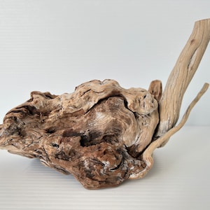 Manzanita Burl / Legno galleggiante di montagna / Fioriera aerea / Habitat per rettili / Legno per acquari / Lavorazione del legno