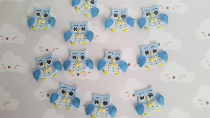 Owl Birthday Decorations 12 Owls Cupcake Toppers Owl First Etsy
