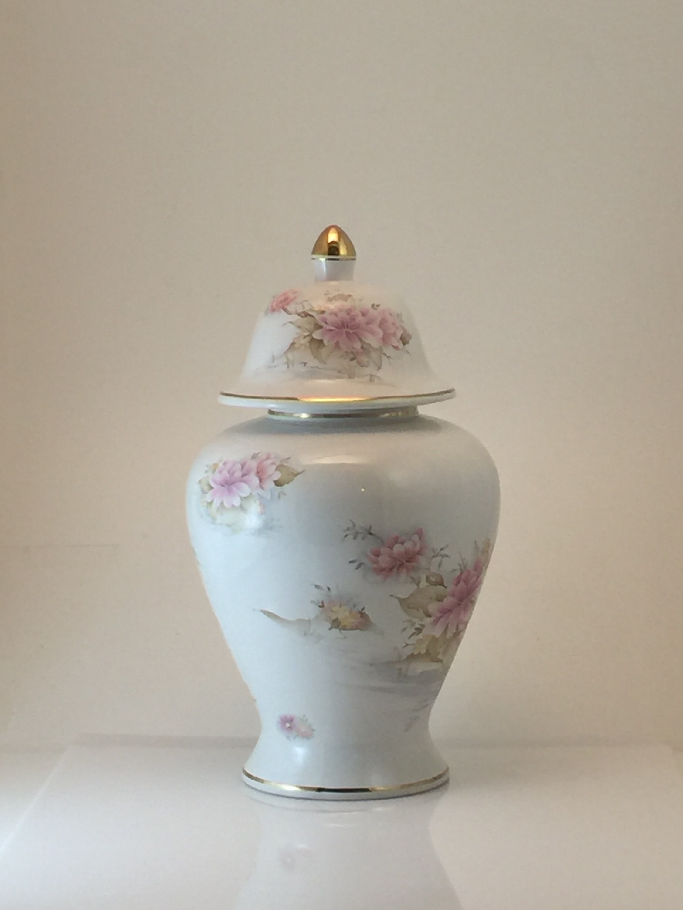 Pot à Gingembre/Vase/Pot de Fleur/