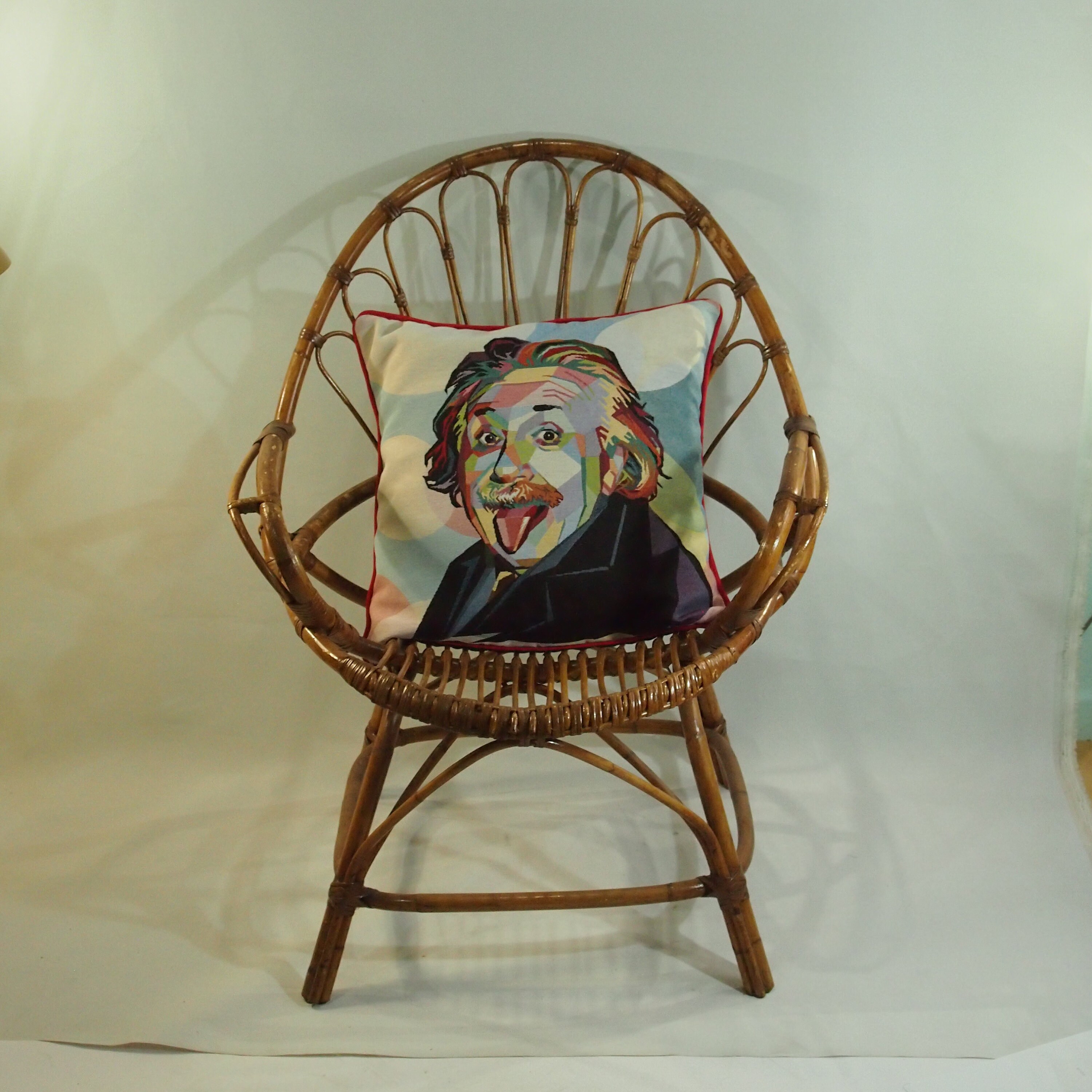 Housse de Coussin Albert Einstein/Fait Main