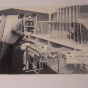 Carte de réception de Dean jones Mr superinvisable 1970 11 x 4