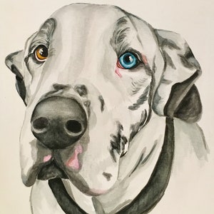 Custom watercolor pet portrait image 1